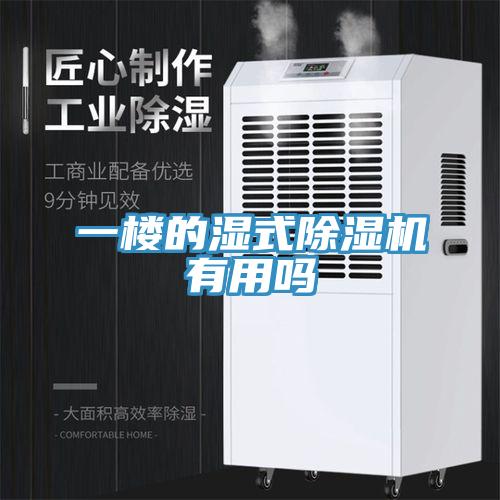 一楼的湿式猫咪成人官网有用吗