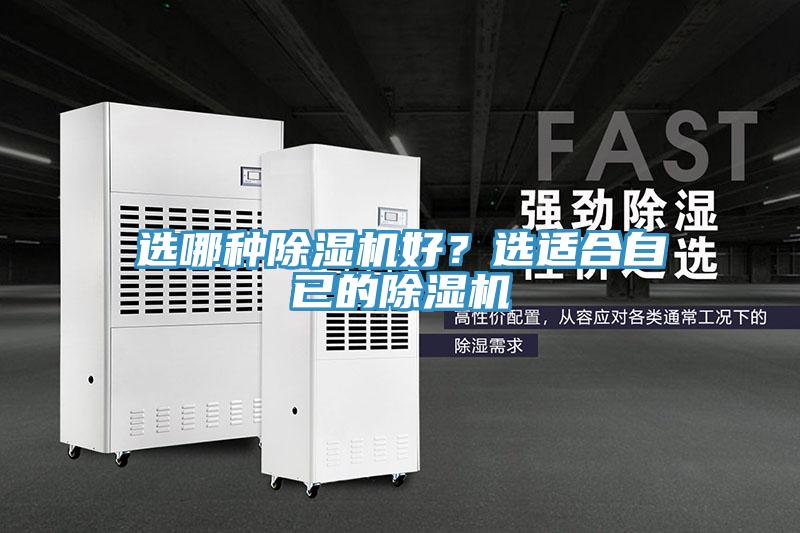 选哪种猫咪成人官网好？选适合自已的猫咪成人官网