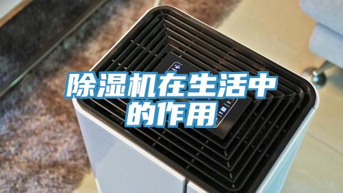 猫咪成人官网在生活中的作用