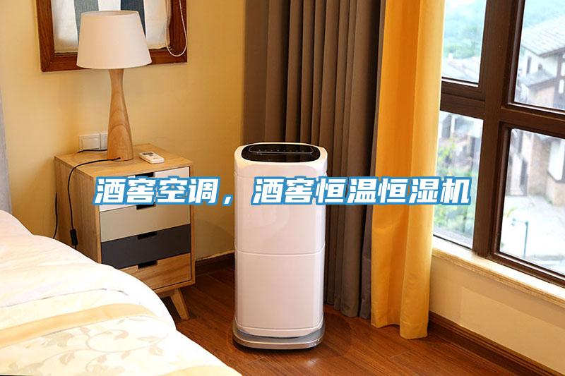 酒窖空调，酒窖恒温恒湿机