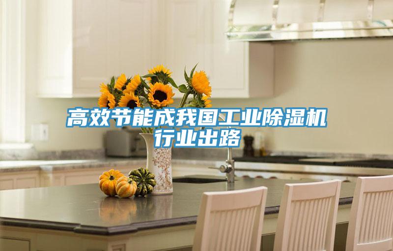高效节能成我国工业猫咪成人官网行业出路