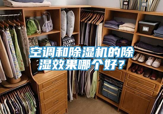 空调和猫咪成人官网的除湿效果哪个好？