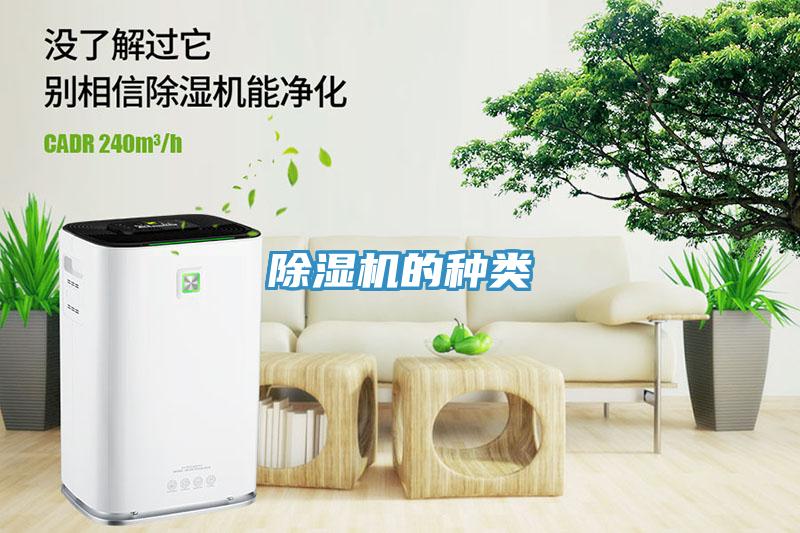 猫咪成人官网的种类