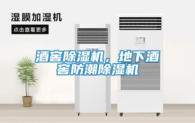 酒窖猫咪成人官网，地下酒窖防潮猫咪成人官网