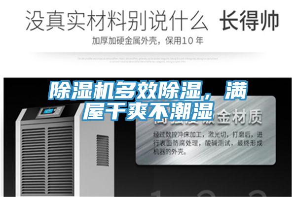 猫咪成人官网多效除湿，满屋干爽不潮湿