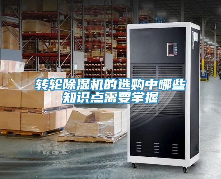 转轮猫咪成人官网的选购中哪些知识点需要掌握