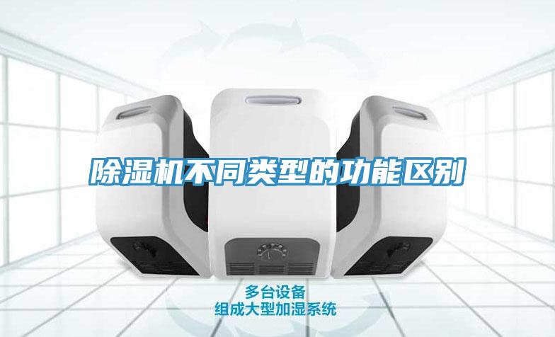 猫咪成人官网不同类型的功能区别
