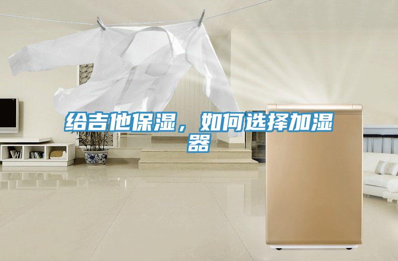 给吉他保湿，如何选择加湿器