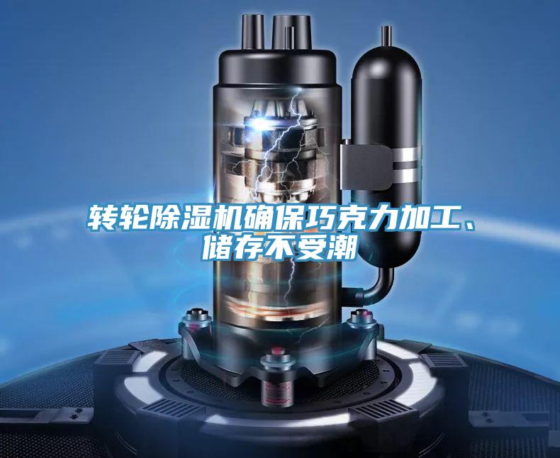 转轮猫咪成人官网确保巧克力加工、储存不受潮