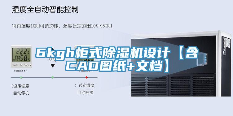 6kgh柜式猫咪成人官网设计【含CAD图纸+文档】