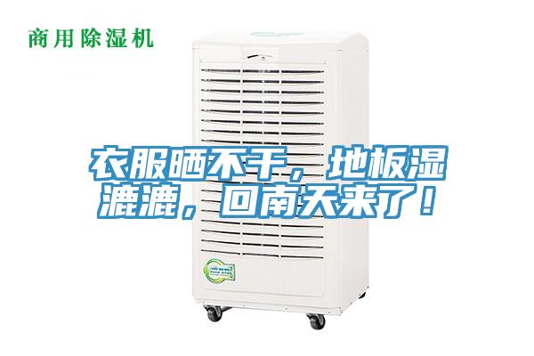 衣服晒不干，地板湿漉漉，回南天来了！