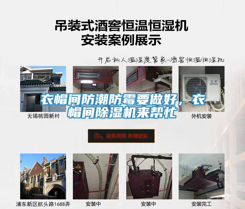 衣帽间防潮防霉要做好，衣帽间猫咪成人官网来帮忙