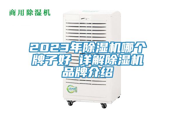 2023年猫咪成人官网哪个牌子好 详解猫咪成人官网品牌介绍