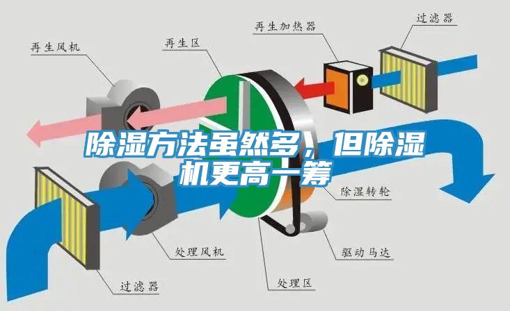 除湿方法虽然多，但猫咪成人官网更高一筹
