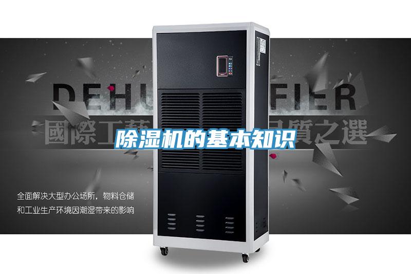 猫咪成人官网的基本知识