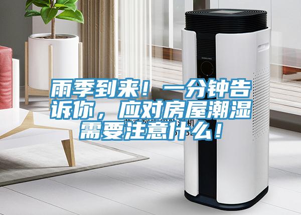 雨季到来！一分钟告诉你，应对房屋潮湿需要注意什么！