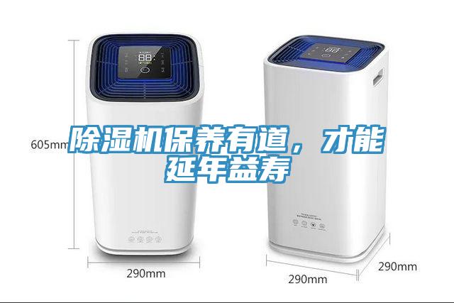 猫咪成人官网保养有道，才能延年益寿