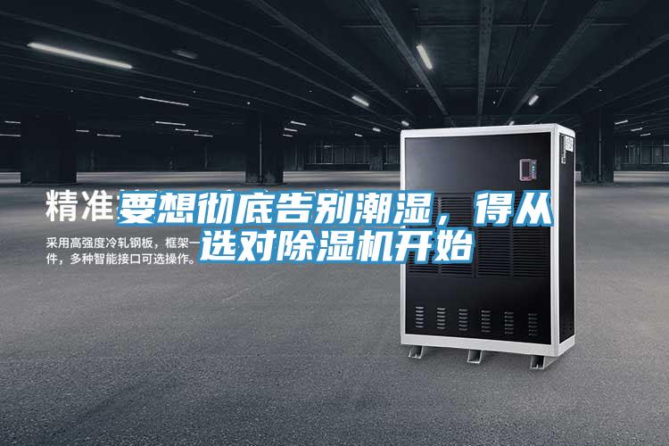 要想彻底告别潮湿，得从选对猫咪成人官网开始