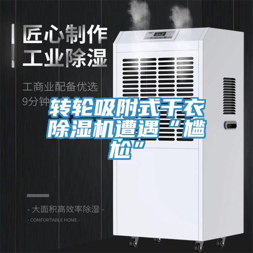 转轮吸附式干衣猫咪成人官网遭遇“尴尬”