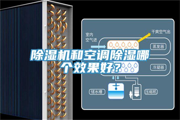 猫咪成人官网和空调除湿哪个效果好？