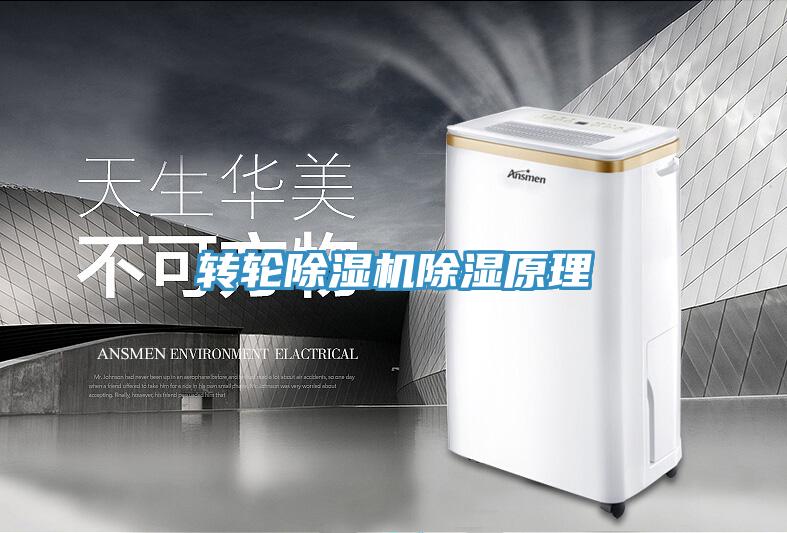 转轮猫咪成人官网除湿原理