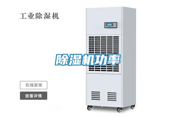 猫咪成人官网功率