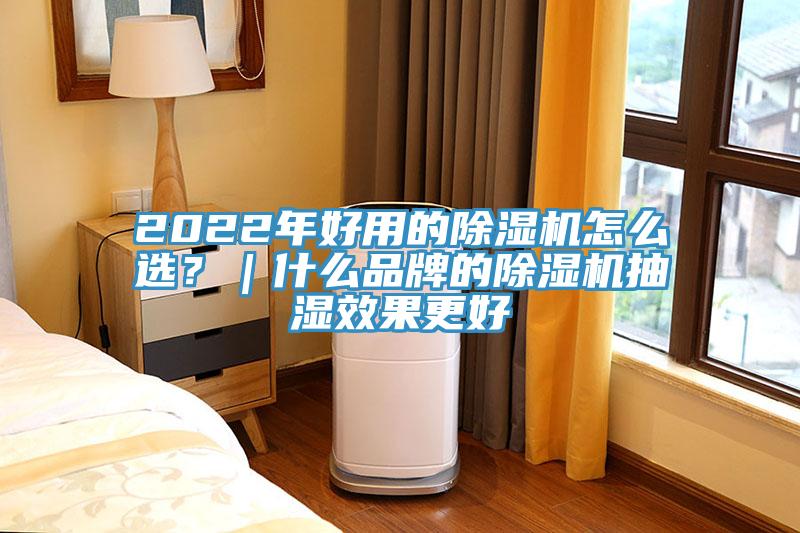2022年好用的猫咪成人官网怎么选？｜什么品牌的猫咪成人官网抽湿效果更好