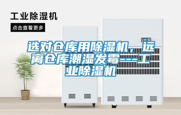 选对仓库用猫咪成人官网，远离仓库潮湿发霉---工业猫咪成人官网