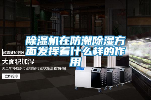 猫咪成人官网在防潮除湿方面发挥着什么样的作用