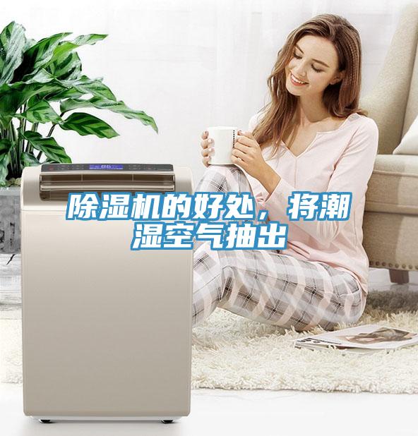 猫咪成人官网的好处，将潮湿空气抽出