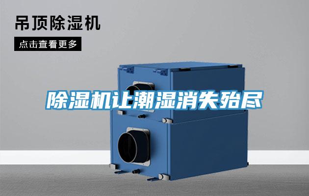 猫咪成人官网让潮湿消失殆尽
