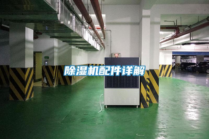 猫咪成人官网配件详解