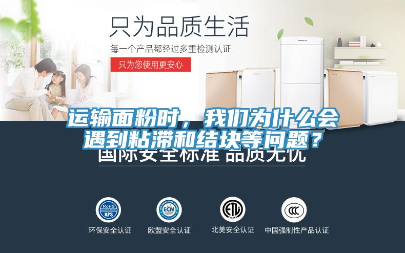 运输面粉时，猫咪成人在线视频为什么会遇到粘滞和结块等问题？