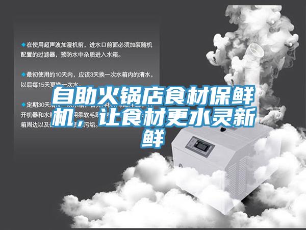 自助火锅店食材保鲜机，让食材更水灵新鲜