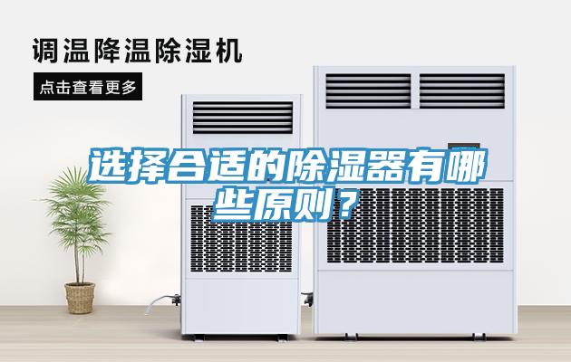 选择合适的除湿器有哪些原则？