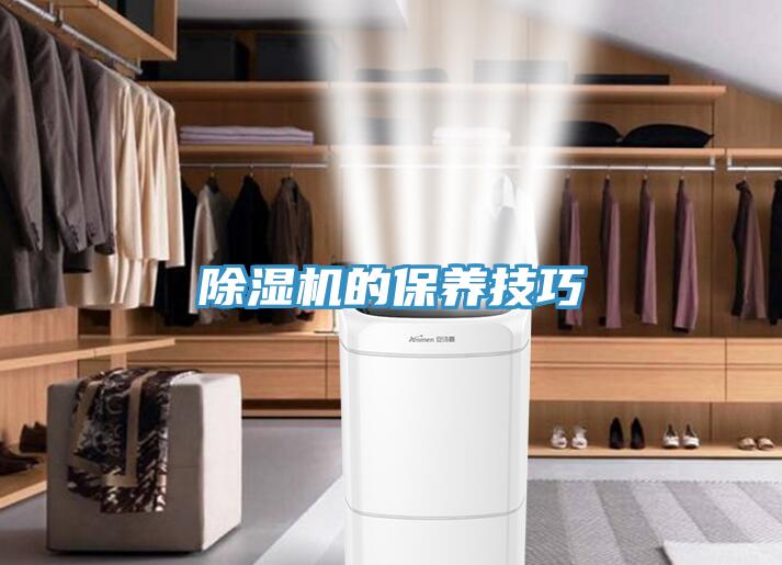 猫咪成人官网的保养技巧