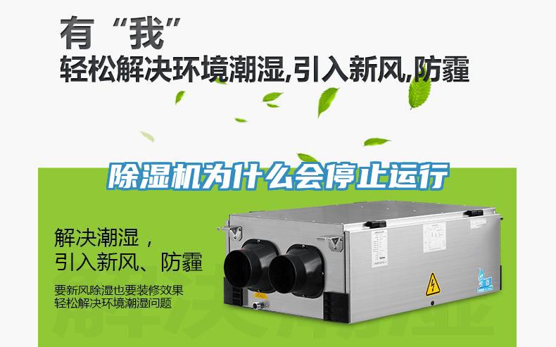 猫咪成人官网为什么会停止运行