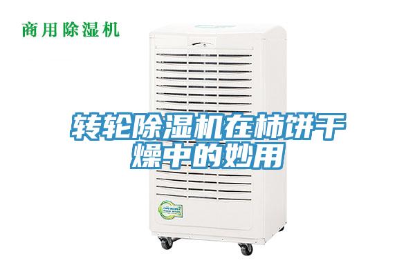 转轮猫咪成人官网在柿饼干燥中的妙用