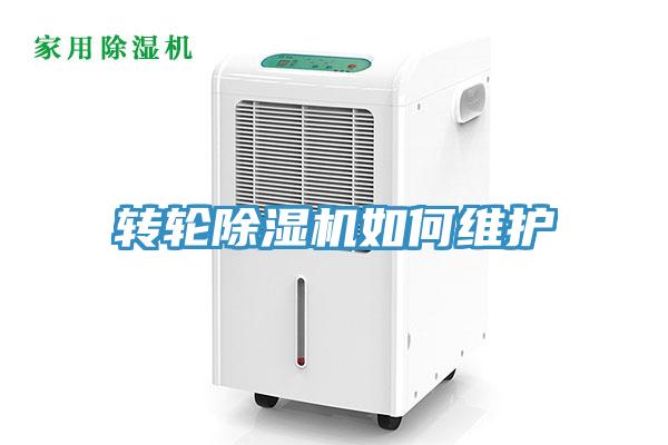 转轮猫咪成人官网如何维护