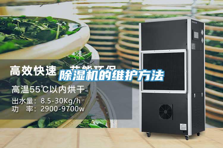 猫咪成人官网的维护方法