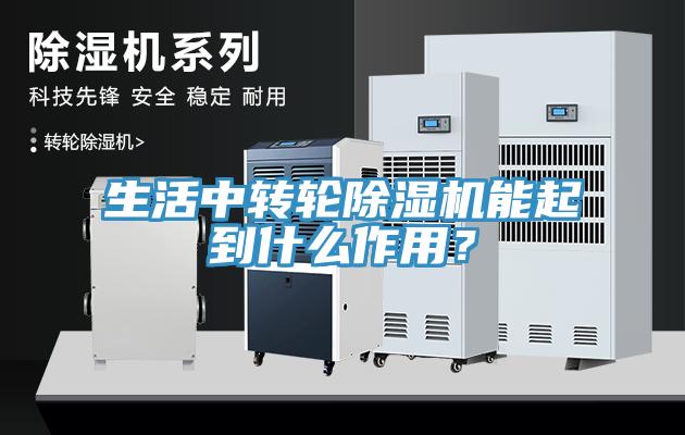 生活中转轮猫咪成人官网能起到什么作用？