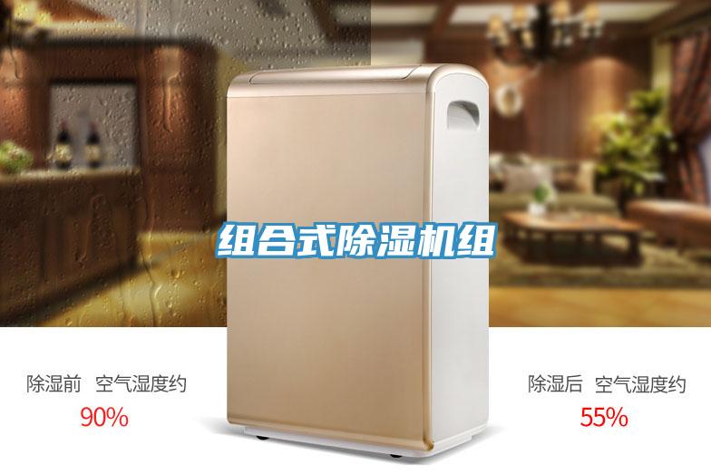 组合式猫咪成人官网组