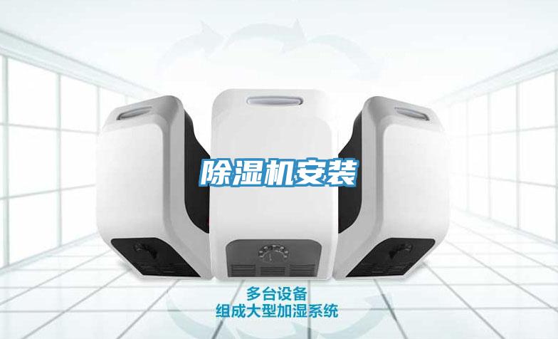 猫咪成人官网安装