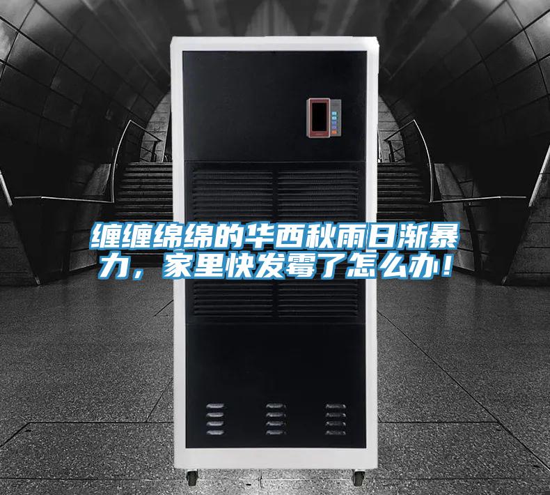 缠缠绵绵的华西秋雨日渐暴力，家里快发霉了怎么办！