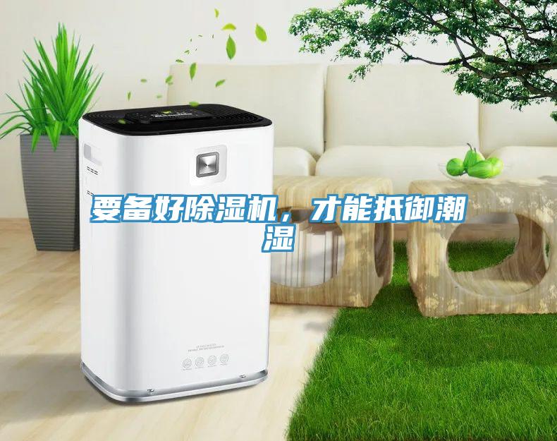 要备好猫咪成人官网，才能抵御潮湿