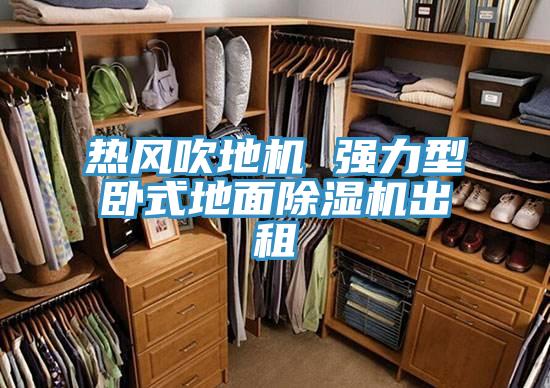热风吹地机 强力型卧式地面猫咪成人官网出租