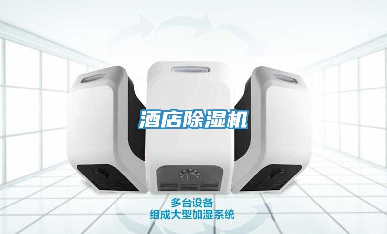 酒店猫咪成人官网