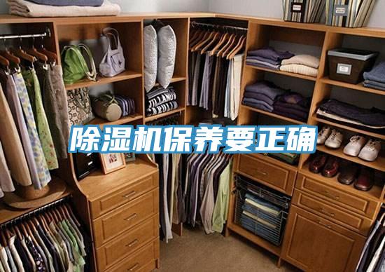 猫咪成人官网保养要正确