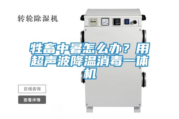 牲畜中暑怎么办？用超声波降温消毒一体机