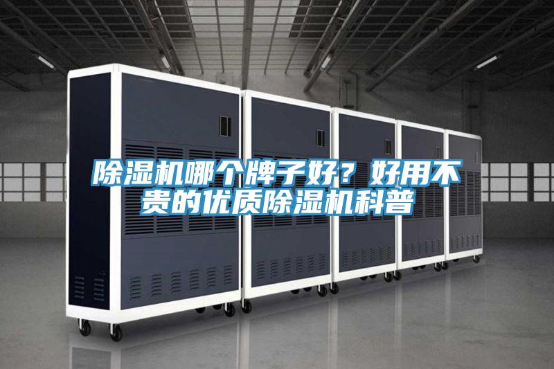猫咪成人官网哪个牌子好？好用不贵的优质猫咪成人官网科普